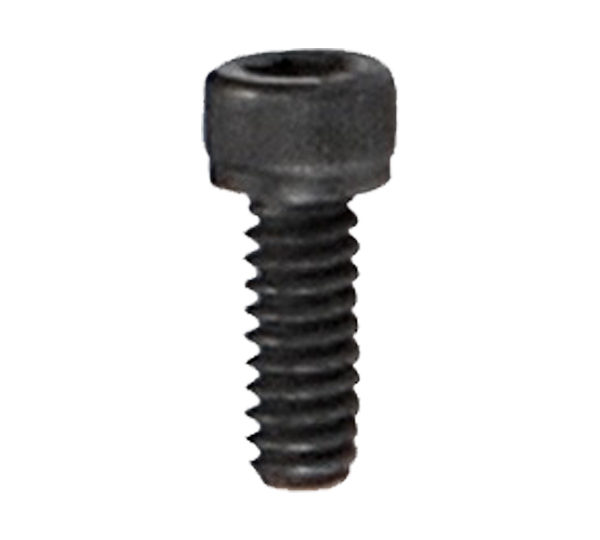 A black screw with a hole in the bottom of it.