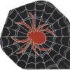 A spider on the web umbrella