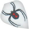 A white and black spider with red bow tie.