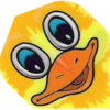 A duck with big eyes and an orange beak.