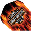 A harley davidson logo on fire background.