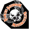 A harley davidson motorcycle logo with a skull and wings.