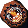 A harley davidson logo is shown on a brown background.