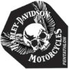 A harley davidson motorcycle with a skull and wings.