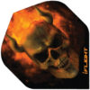 A picture of an image of a skull.